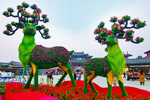 五色草立體花壇